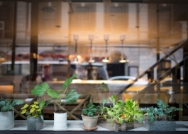 Window Film vs. Window Replacement in South Florida: What Makes Sense in 2026 blog related image